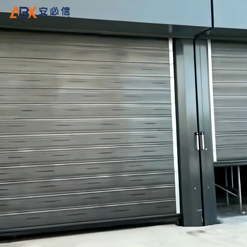 大庆市感应高速门